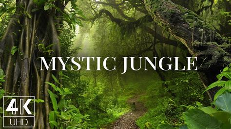 Mystic Jungle Bodog